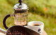 Coffee Farm Tour And Workshop, Byron Bay Hinterland - thumb 0