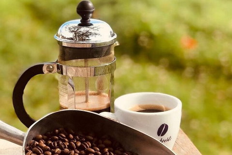 Coffee Farm Tour And Workshop, Byron Bay Hinterland - Tourism Gold Coast 0