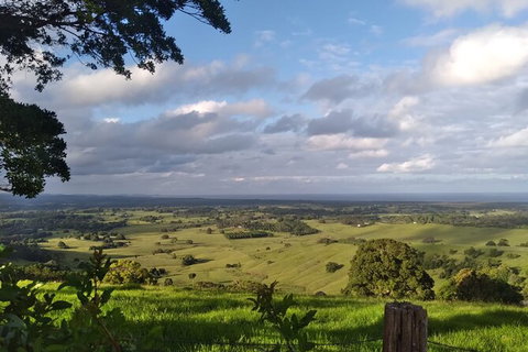 Coffee Farm Tour And Workshop, Byron Bay Hinterland - Tourism Gold Coast 4