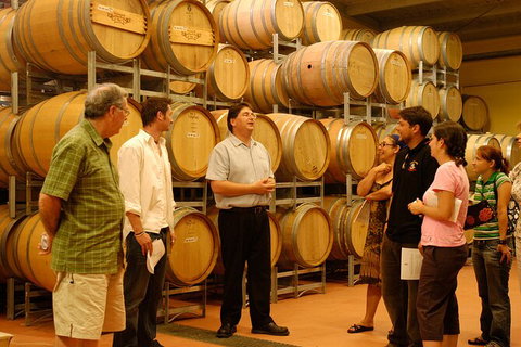 Hunter Valley Small Group Luxury Wine Tasting Tour From Sydney - Tourism Gold Coast 7