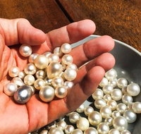 Australian Pearl Experience  Kangaroo Encounter Day Trip from Sydney - Tourism Gold Coast