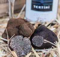 Truffle Hunts with Lunch - Southern Highlands - Tourism Gold Coast