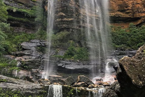 Private 10-hour Tour To Blue Mountains From Sydney - Hotel Pick Up & Drop Off - Tourism Gold Coast 3