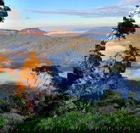 Private 10-hour Tour to Blue Mountains from Sydney - Hotel pick up  drop off - Tourism Gold Coast