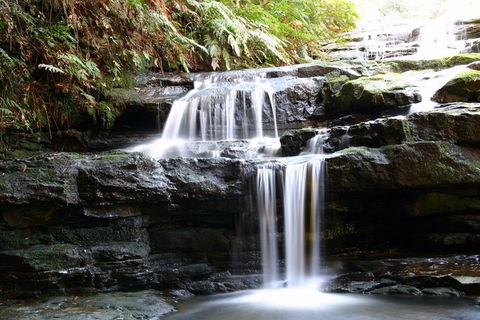 Private 10-hour Tour To Blue Mountains From Sydney - Hotel Pick Up & Drop Off - Tourism Gold Coast 6