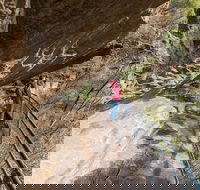 Blue Mountains Highlights  Wildlife Park - Tourism Gold Coast