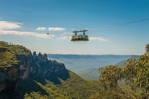 Blue Mountains Highlights, Wildlife Park And Scenic World Full Day Private Tour - Tourism Gold Coast 0