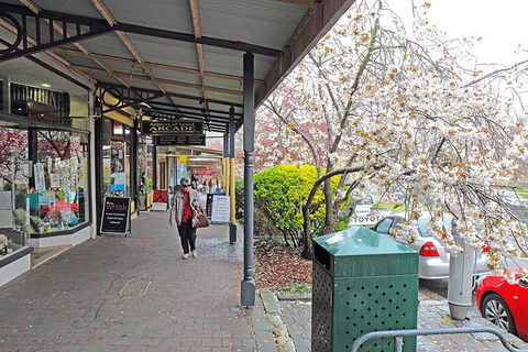 Blue Mountains Highlights, Wildlife Park And Scenic World Full Day Private Tour - Tourism Gold Coast 2