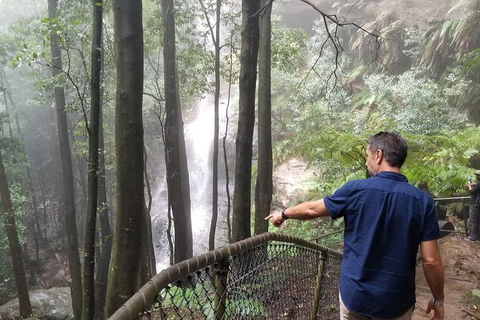 Blue Mountains Highlights, Wildlife Park And Scenic World Full Day Private Tour - Tourism Gold Coast 6