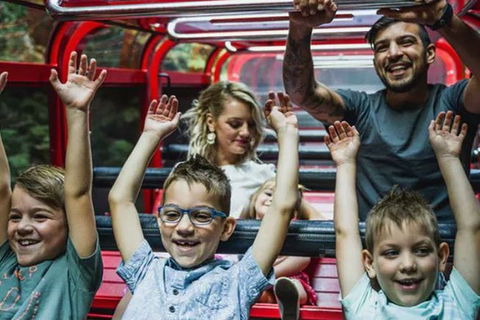 Blue Mountains Highlights, Wildlife Park And Scenic World Full Day Private Tour - Tourism Gold Coast 5