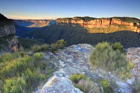 Blue Mountains Highlights, Wildlife Park And Scenic World Full Day Private Tour - Tourism Gold Coast 4