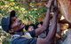 Arnhem Land Injalak Hill Full-Day Tour From Jabiru - thumb 0