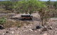 Arnhem Land Injalak Hill Full-Day Tour From Jabiru - thumb 6