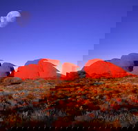 Kata Tjuta Afternoon Walpa Gorge Tour - Tourism Gold Coast