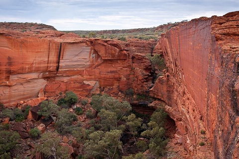 Uluru, Kata Tjuta And Kings Canyon Camping Safari From Ayers Rock - Tourism Gold Coast 0