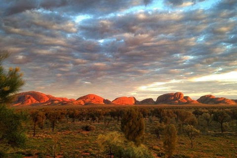5-Hour Kata Tjuta Sunrise Tour From Ayers Rock With Breakfast - Tourism Gold Coast 0
