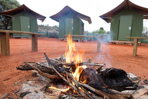 4 Day/3 Night Perentie Dreaming Safari - Tourism Gold Coast 5