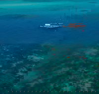 Green Island  Great Barrier Reef Sailing Cruise from Cairns - only 25 guests - Tourism Gold Coast