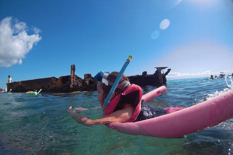 All Inclusive Dolphin And Tangalooma Wrecks Cruise - Tourism Gold Coast 8