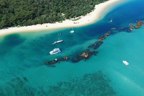All Inclusive Dolphin And Tangalooma Wrecks Cruise - Tourism Gold Coast 3