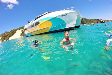 All Inclusive Dolphin And Tangalooma Wrecks Cruise - Tourism Gold Coast 0