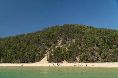 All Inclusive Dolphin And Tangalooma Wrecks Cruise - Tourism Gold Coast 4