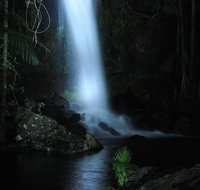 Mt Tamborine National Park 4WD Nocturnal Rainforest and Glow Worm Tour - Tourism Gold Coast