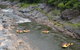 Barron River Half-Day White Water Rafting From Cairns - thumb 2