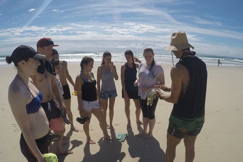 Half Day Dolphin Kayaking And Snorkeling Tour - Tourism Gold Coast 6