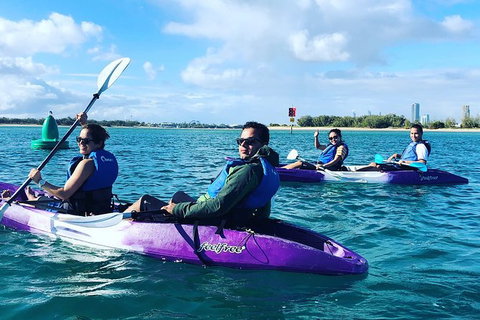 Half Day Dolphin Kayaking And Snorkeling Tour - Tourism Gold Coast 5