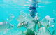 Half Day Dolphin Kayaking And Snorkeling Tour - thumb 3