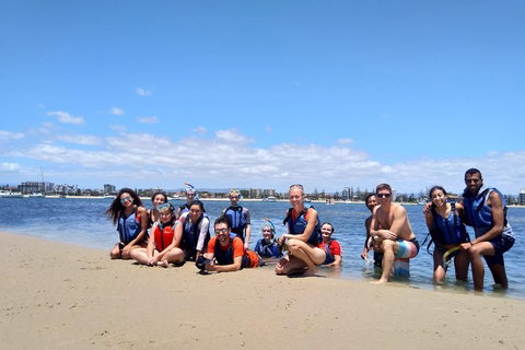 Half Day Dolphin Kayaking And Snorkeling Tour - Tourism Gold Coast 9