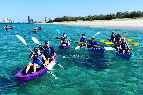Half Day Dolphin Kayaking And Snorkeling Tour - Tourism Gold Coast 11