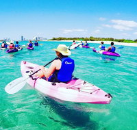 Half Day Dolphin Kayaking and Snorkeling Tour - Tourism Gold Coast