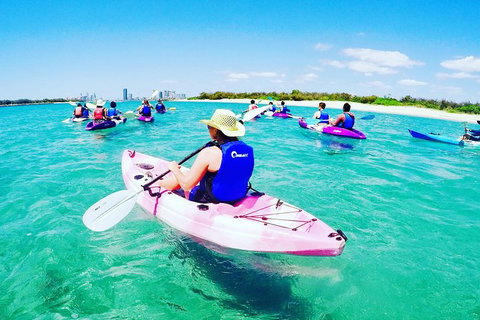 Half Day Dolphin Kayaking And Snorkeling Tour - Tourism Gold Coast 0