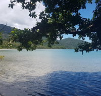 Full Day Tour in the Daintree - Tourism Gold Coast