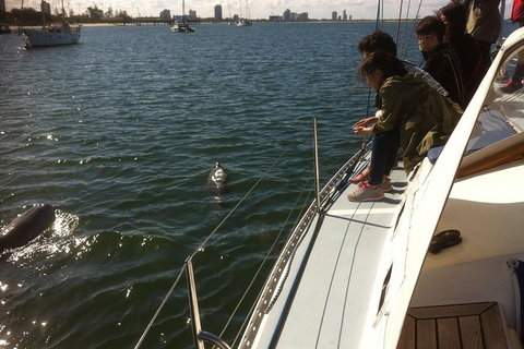 Gold Coast Sailing Cruise With Sparkling Wine & Nibbles Platter - Tourism Gold Coast 3