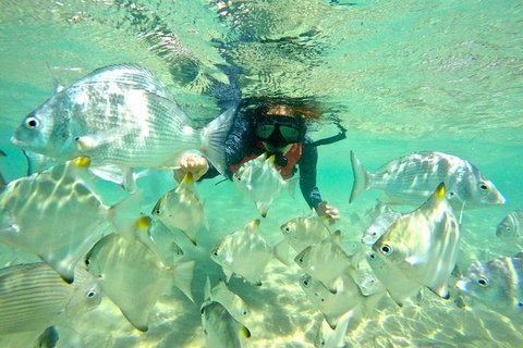 Half-Day Kayak, SUP And Snorkel Tour At Wave Break Island With Lunch - Tourism Gold Coast 9