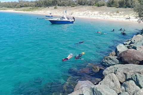 Half-Day Kayak, SUP And Snorkel Tour At Wave Break Island With Lunch - Tourism Gold Coast 3