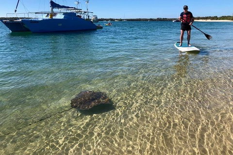Half-Day Kayak, SUP And Snorkel Tour At Wave Break Island With Lunch - Tourism Gold Coast 2