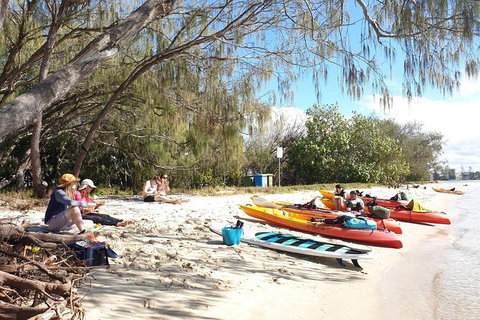 Half-Day Kayak, SUP And Snorkel Tour At Wave Break Island With Lunch - Tourism Gold Coast 8