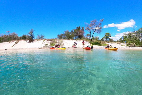 Half-Day Kayak, SUP And Snorkel Tour At Wave Break Island With Lunch - Tourism Gold Coast 4