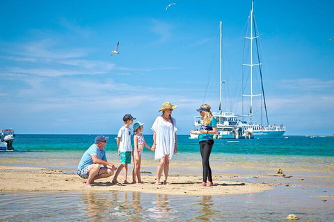 Wavedancer Low Isles Great Barrier Reef Sailing Cruise From Cairns - Tourism Gold Coast 7