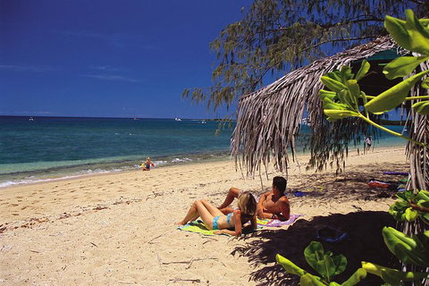 Wavedancer Low Isles Great Barrier Reef Sailing Cruise From Cairns - Tourism Gold Coast 5