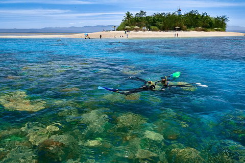 Wavedancer Low Isles Great Barrier Reef Sailing Cruise From Cairns - Tourism Gold Coast 3