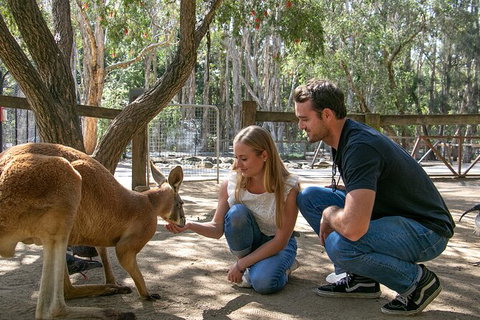 Currumbin Wildlife Sanctuary General Entry Ticket - Tourism Gold Coast 1