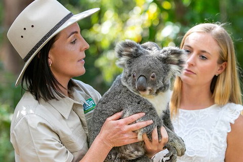 Currumbin Wildlife Sanctuary General Entry Ticket - Tourism Gold Coast 6
