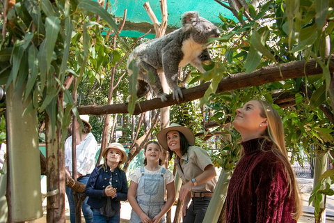 Currumbin Wildlife Sanctuary General Entry Ticket - Tourism Gold Coast 14