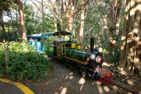 Currumbin Wildlife Sanctuary General Entry Ticket - Tourism Gold Coast 13