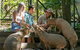 Currumbin Wildlife Sanctuary General Entry Ticket - thumb 16